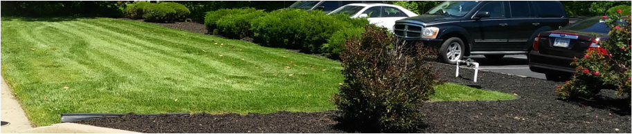 commercial lawn mowing Newburgh